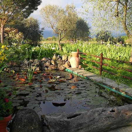 Villa Iriscortona Cortona