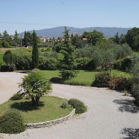 Iriscortona