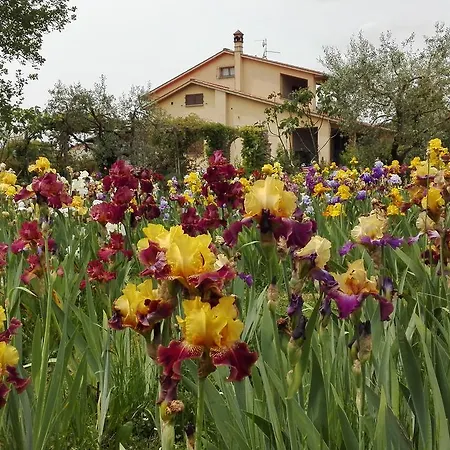 Iriscortona Villa