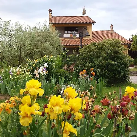 Iriscortona Villa