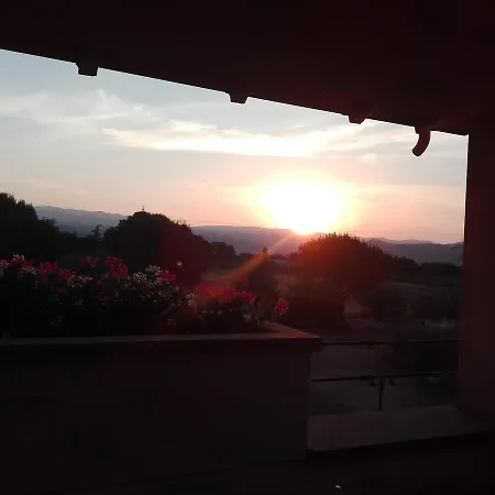 Iriscortona *