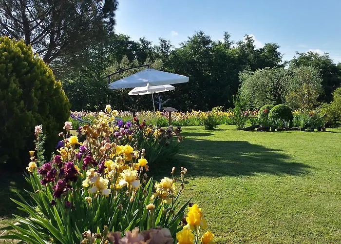 Iriscortona Villa *