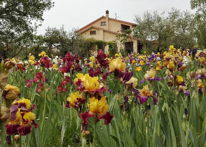 Iriscortona Villa