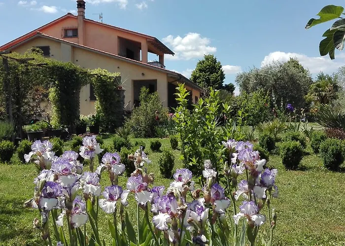 Iriscortona