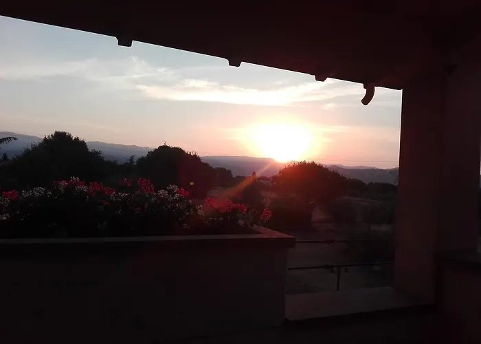 Iriscortona *